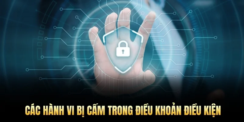 Các hành vi bị cấm trong điều khoản điều kiện.